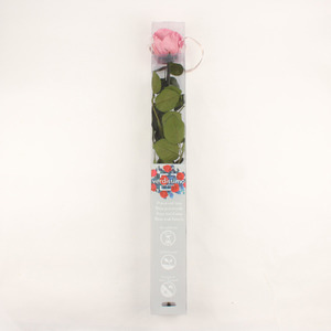 V-스템 로즈 체리블라썸/amorosa standard gift box cherry blossom