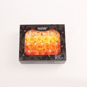 로즈 비비안 - 오렌지 믹스(24송이)
