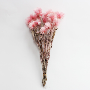 실버 데이지(투톤핑크)/프리저브드플라워, 시들지않는장미, 오래가는꽃, 인테리어꽃,꽃배달