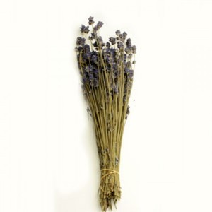 라벤더- 내츄럴, Lavender - Natural/프리저브드플라워, 드라이플라워,천일화,보존화,시들지않는 꽃,오래가는꽃, 인테리어꽃,꽃배달
