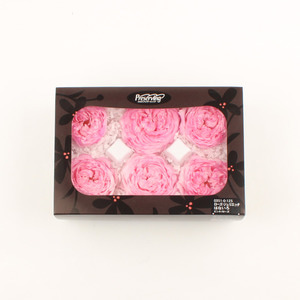 rose julieta hanairo 로즈 줄리에타 - 핑크&amp;로즈