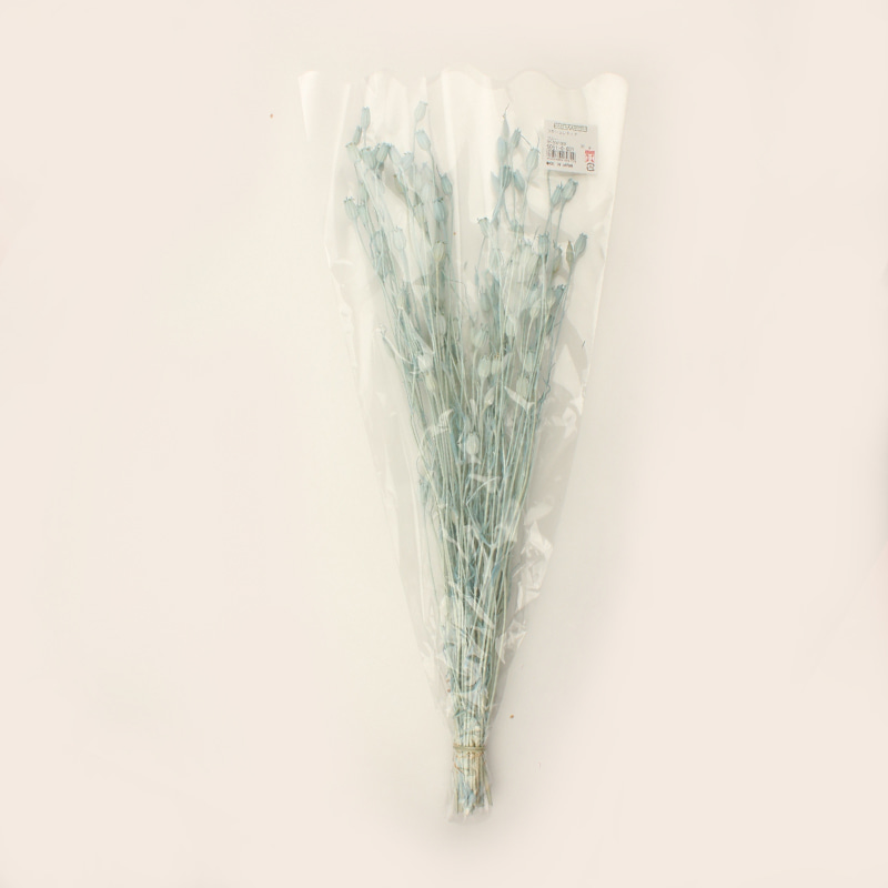 Flax Rin Flower 플렉스 린 플라워 - 블루